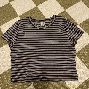 Brown and Light Blue Striped Crop Top